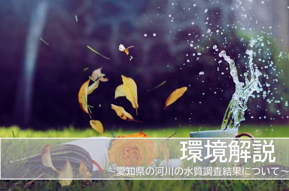 河川 水質結果