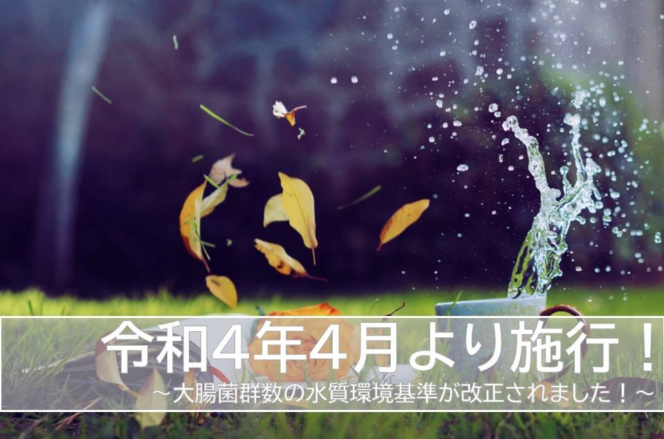 大腸菌数 改正