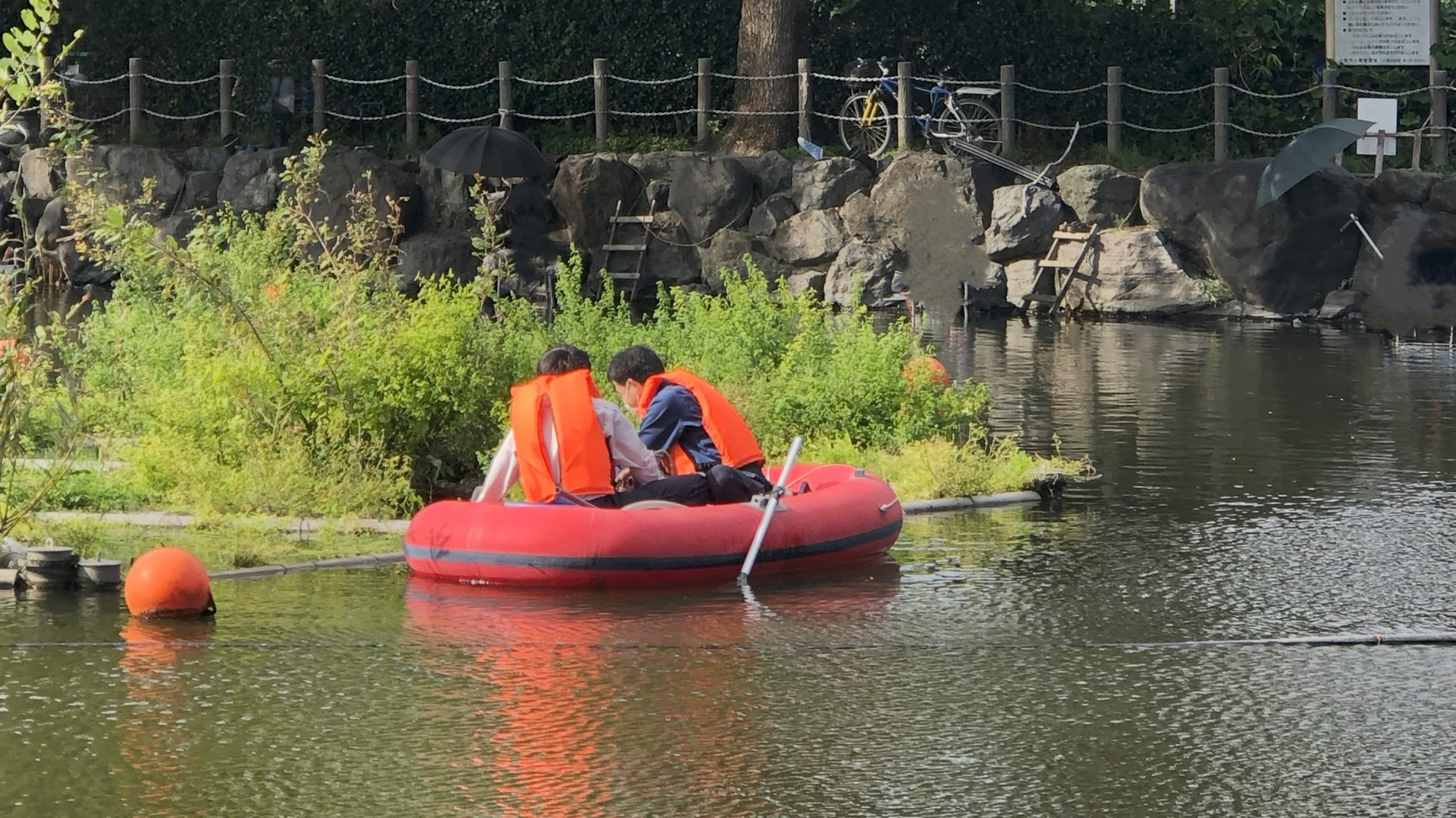 池の水質調査